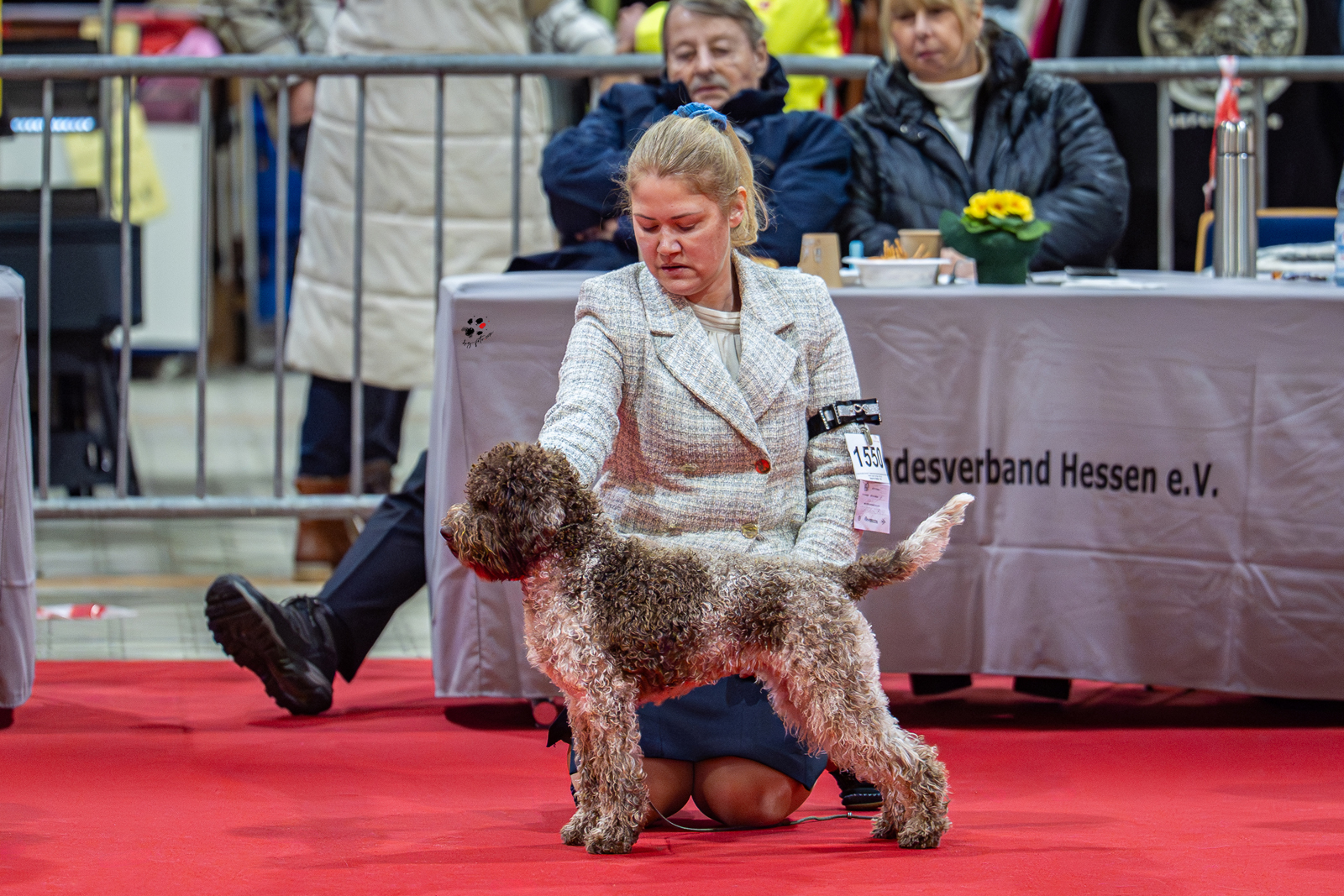 Tr&uuml;ffel-Seminar mit Lagotto