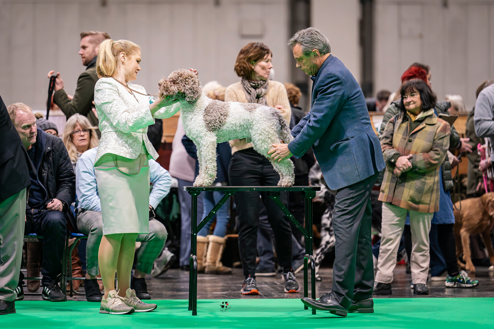 Tanja Backes bei der Crufts Dog Show